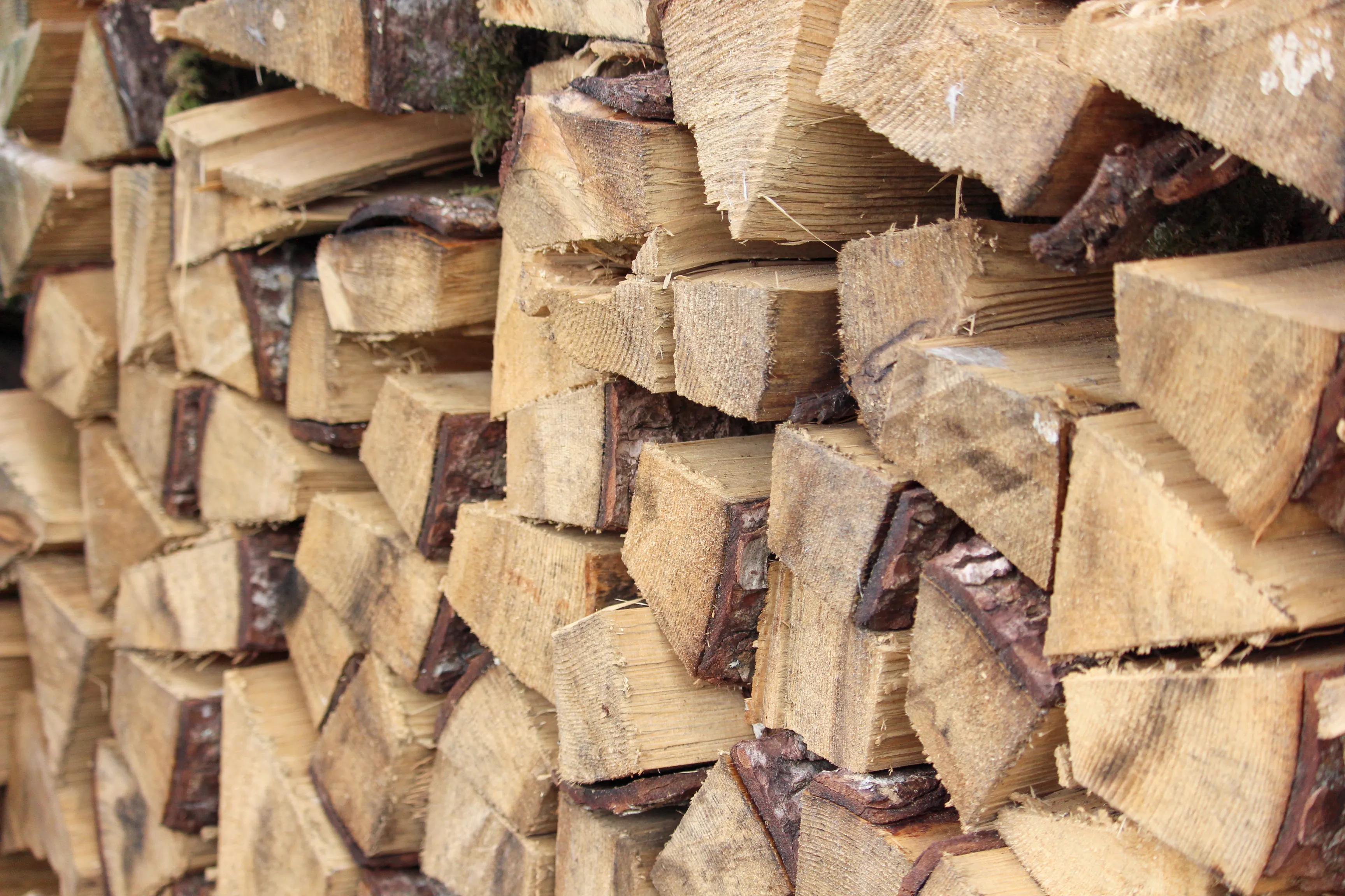 Brennholz