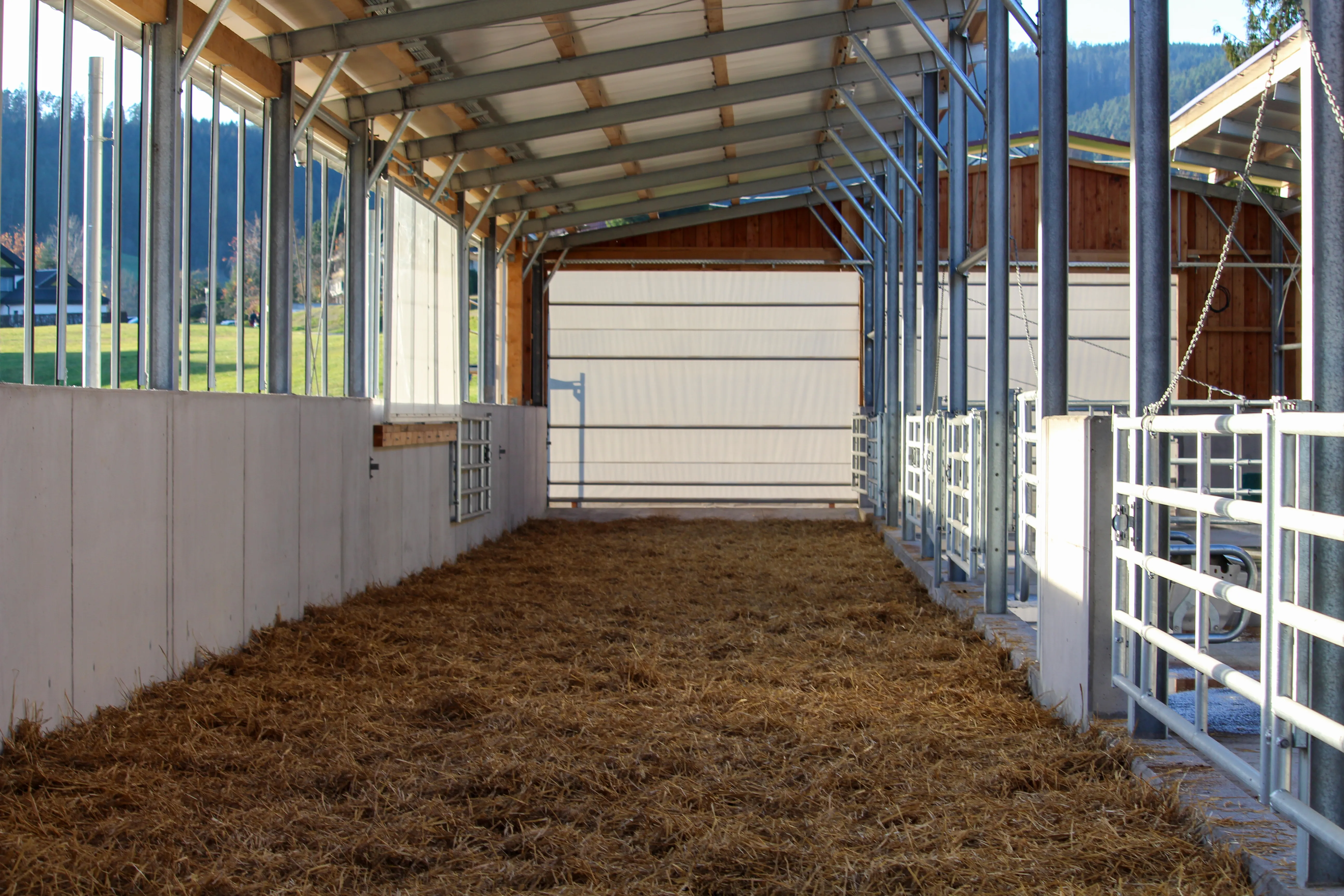Stall