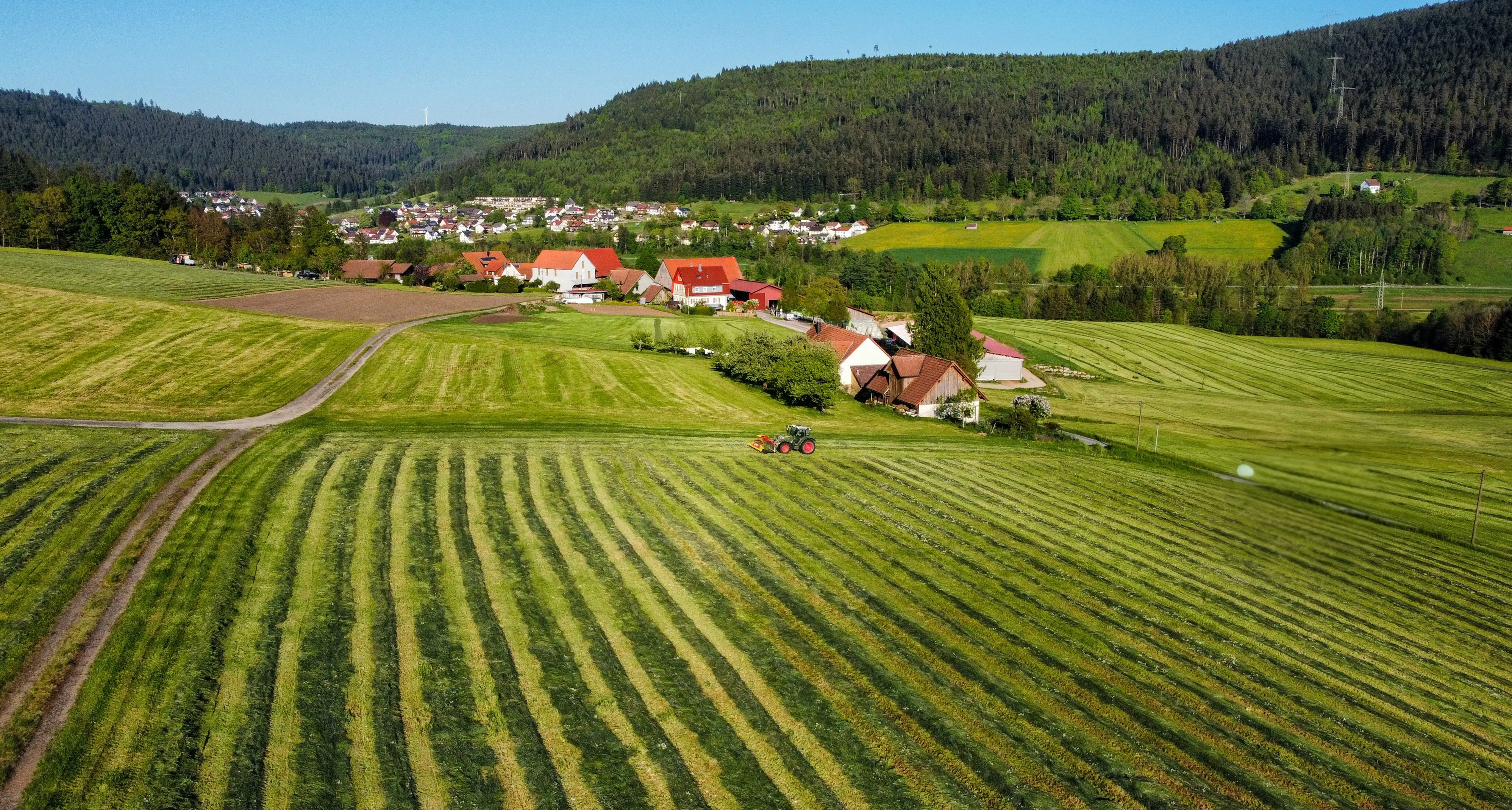 Weidepflege